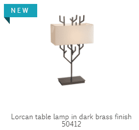 Dark 2 Brass Table Lamp Thistlegrey Interiors